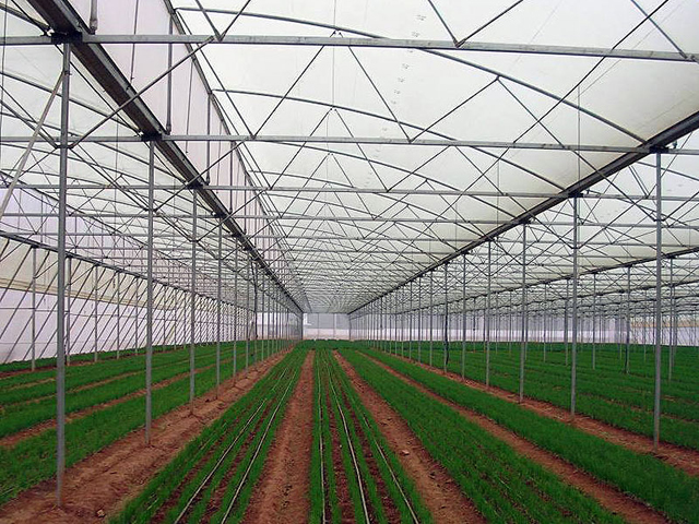 Pertanian Greenhouse